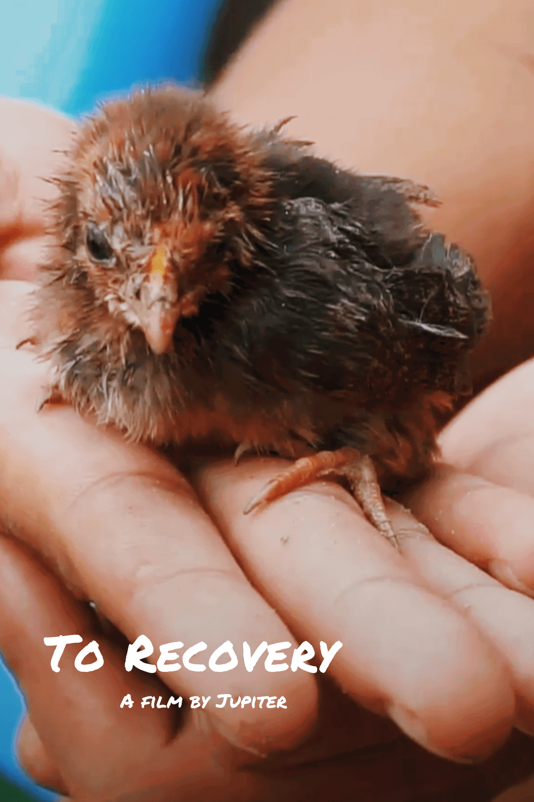 To Recovery