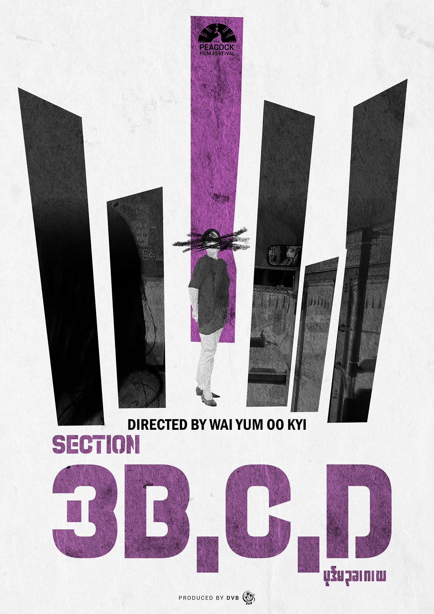 Section 3B, C, D